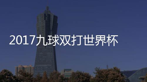 美国像 之一杯录比赛九球芬兰双打世界四分视频